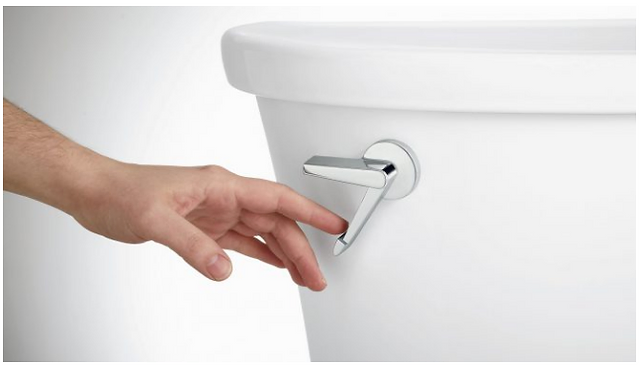flushing system